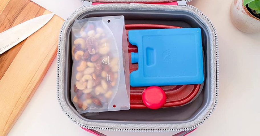 igloo ice block in a lunch box