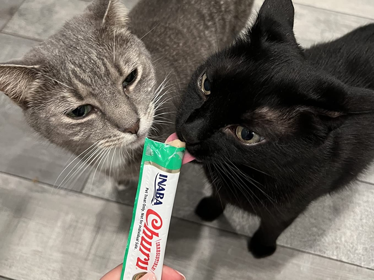 two cats eating from a treat pouch