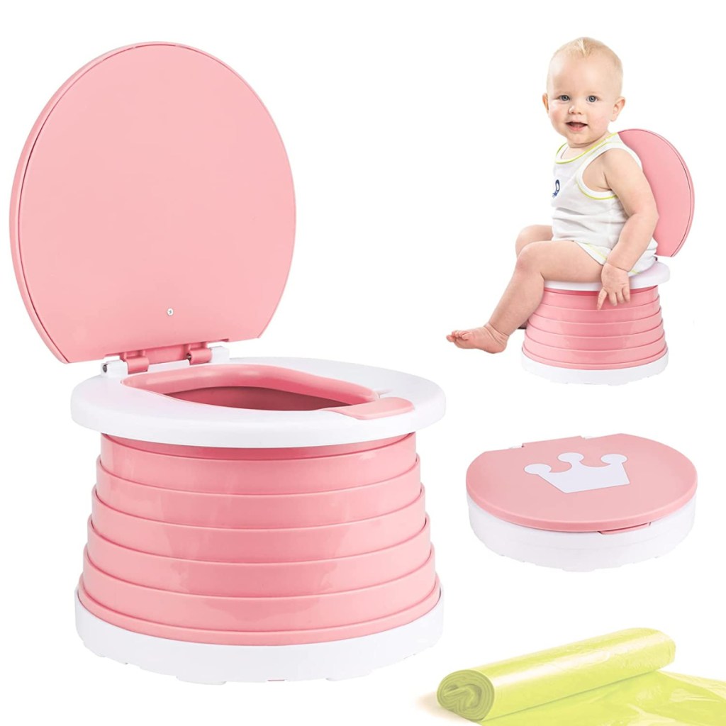 stock image showing a potty seat and supplies