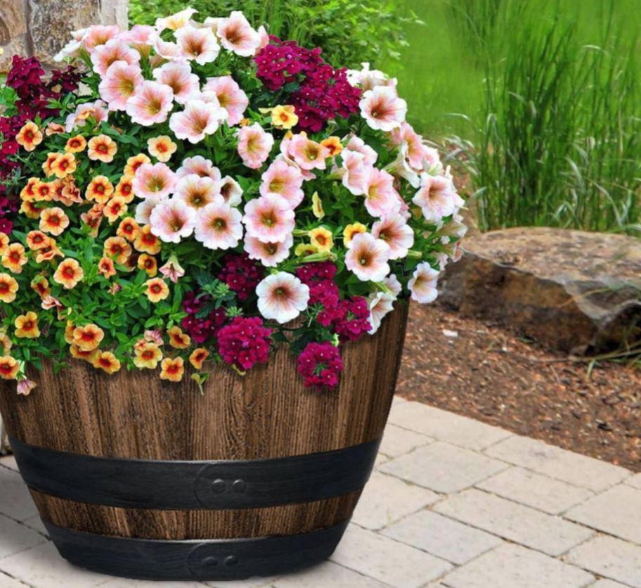 wine barrel planter with a variety of flowers planted in it