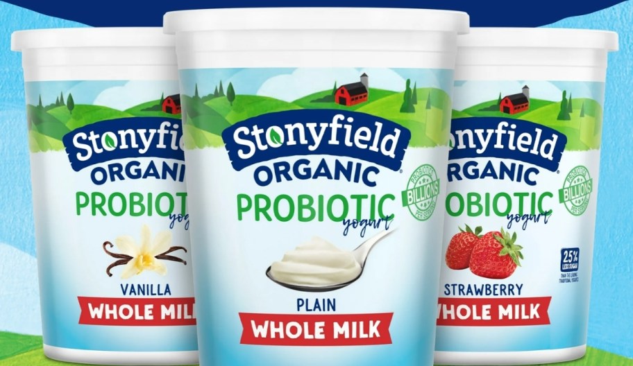 3 32 oz tubs of stonyfield yogurt in 3 flavors