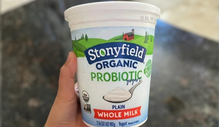 a hand holding a 32oz tub of stonyfield organic probiotic yogurt