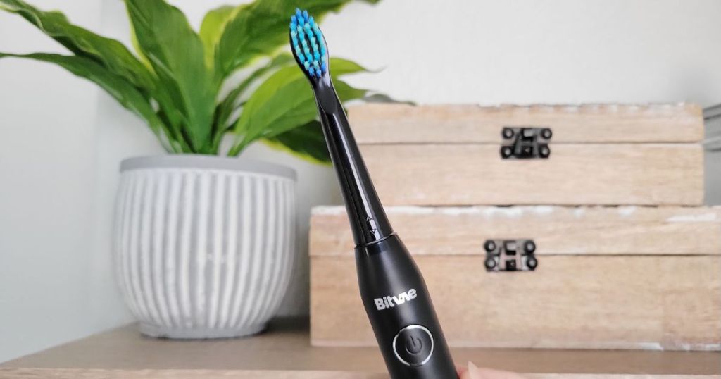 black Bitvae electric toothbrush iwth dresser and plant in background