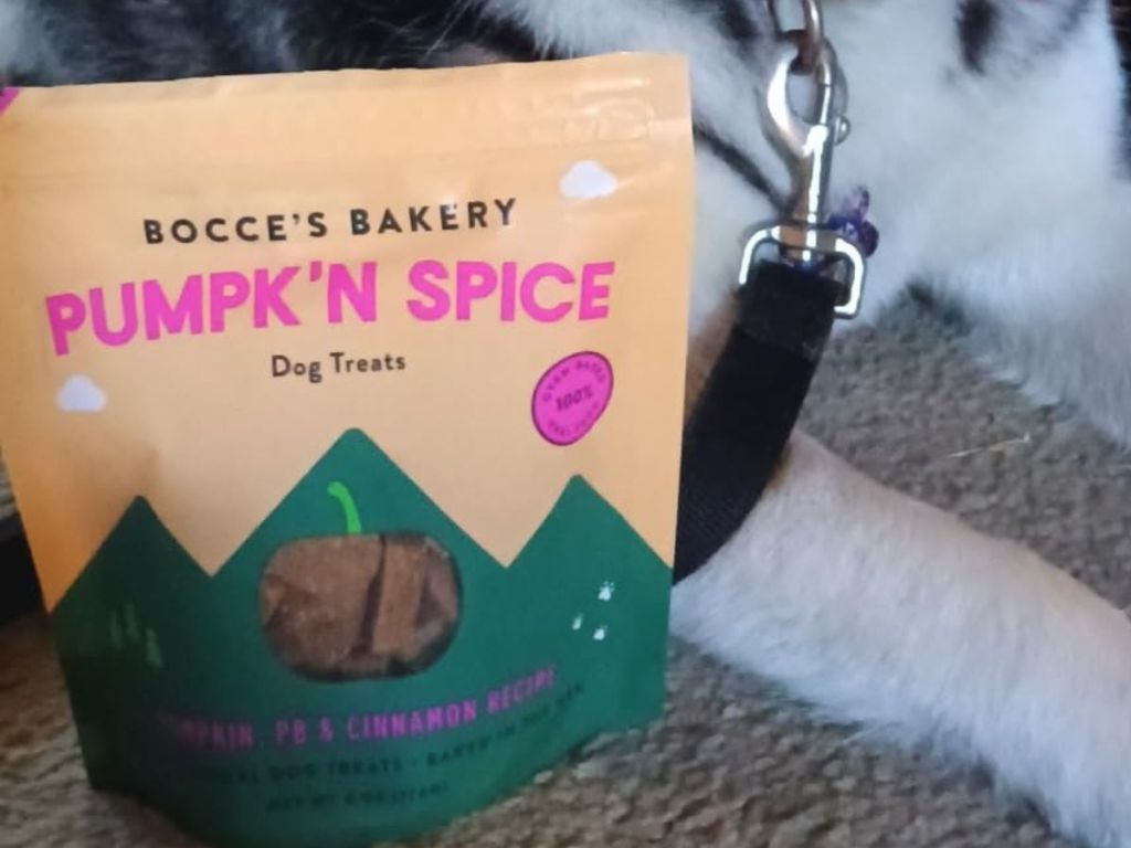bag of Bocce's Bakery Pumpk'n Spice 6oz Dog Treats