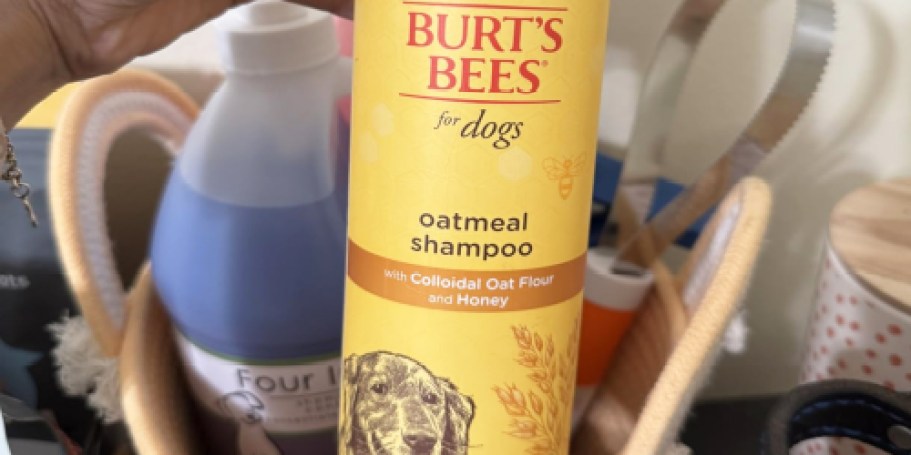 Burt’s Bees Dog Shampoo Only $3 Shipped on Amazon (Regularly $11)