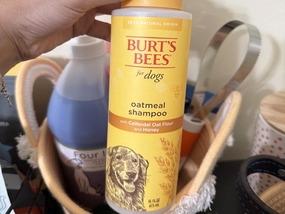hand holding a yellow bottle of Burt's Bees Oatmeal Dog Shampoo
