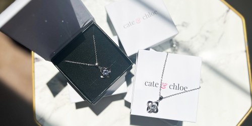 Cate & Chloe Birthstone Necklace Only $18 Shipped (Perfect Mother’s Day Gift!)