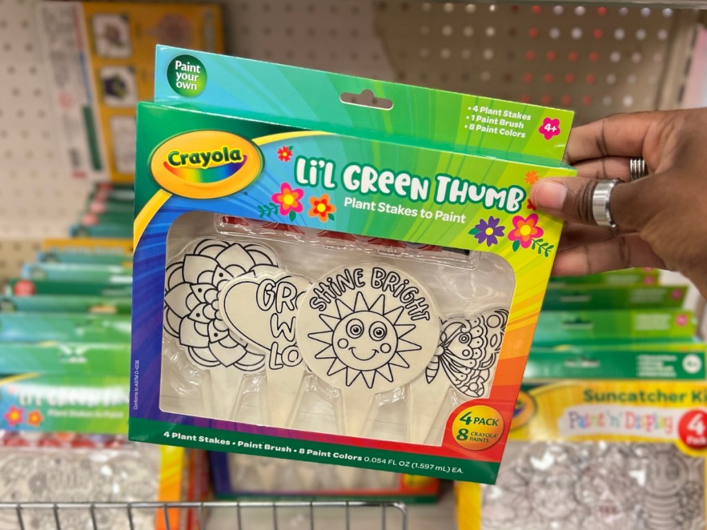 Crayola Li'l Green Thumb Plant Stakes to Paint