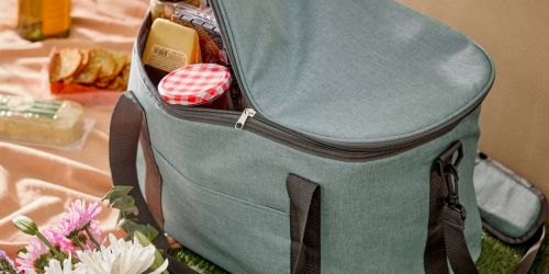 *HOT* DSW Promo – FREE Cooler Bag w/ $49 Purchase + Up to 70% Off Clearance!