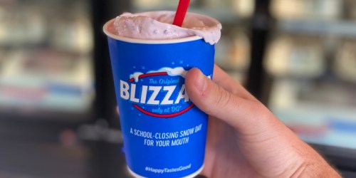 Latest Dairy Queen Coupons + Peanut Butter Puppy Chow Blizzard & More New Flavors Available!