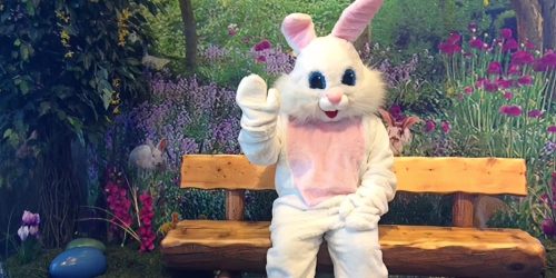 FREE Easter Bunny Photo at Cabela’s & Bass Pro Shop | Grab a Last Minute Photo