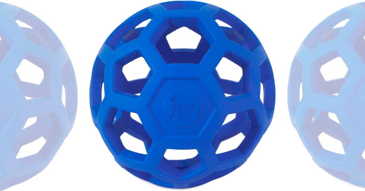 a medium JW rollee ball in blue