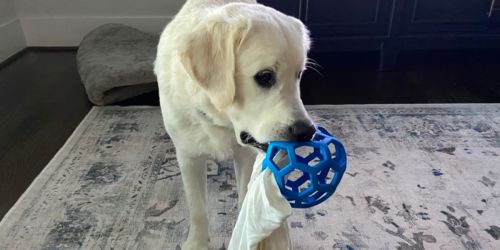 Highly-Rated Dog Treat Dispenser Ball Just $3.50 Shipped on Amazon (Regularly $12)
