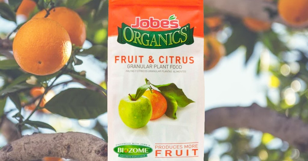 bag of Jobe's Organics Fruit & Citrus Plant Food Fertilizer with orange tree in the background