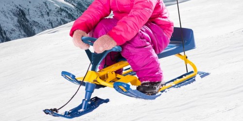 80% Off Snow Sleds on Lowes.com | Prices from $20 (Regularly $100)