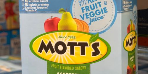 Mott’s Fruit Snacks 132-Count Box Only $15 Shipped on Amazon (Just 11¢ Per Pouch!)