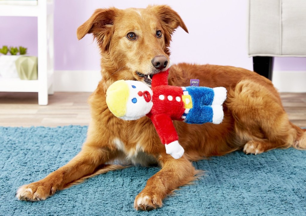 dog playing with mr. Bill toy