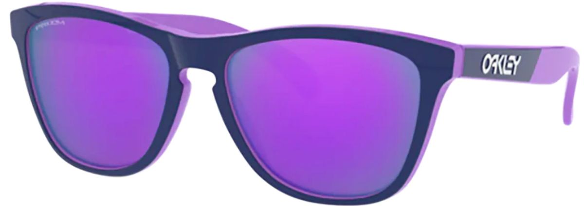 Oakley Men's Frogskins Sunglasses in purple