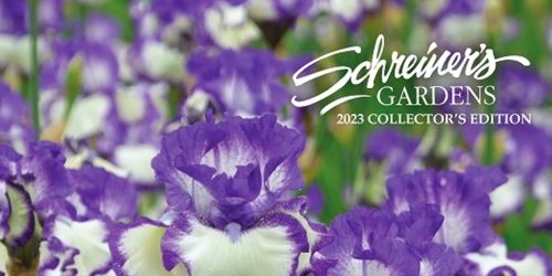 FREE Schreiner’s Gardens Catalog (36 Pages of Iris Varieties!)
