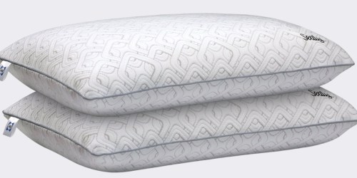 Sealy Memory Foam Pillows 2-Pack only $34.99 on Walmart.com (Regularly $60)