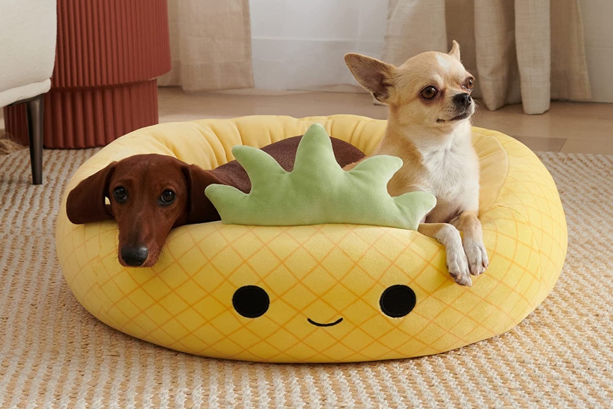 2 dogs on a pineapple pet bed