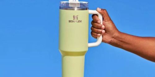 NEW Stanley Quencher Tumbler Colors Are In Stock NOW (+ 20% Off on REI.com!)