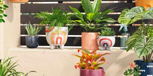 Target Planters From $4 (Great Mother’s Day or Easter Gift Idea)