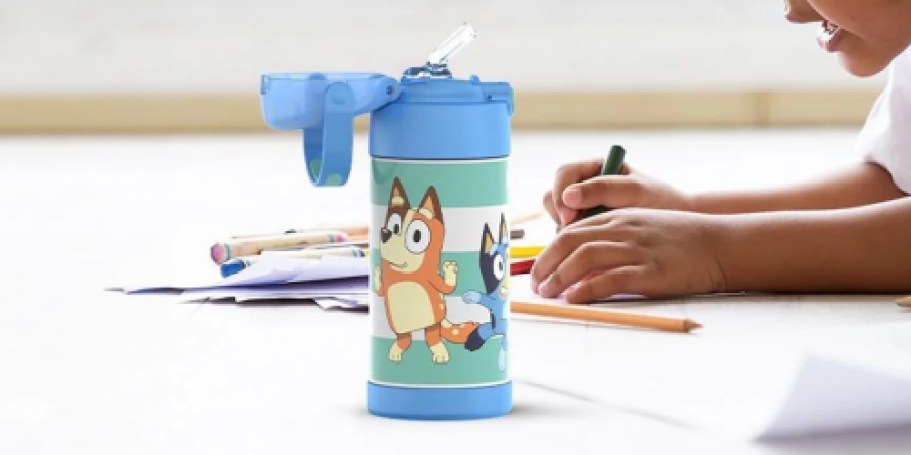 Thermos Funtainer Bottles from $13.59 on Amazon & Target.com | Bluey, Disney & More