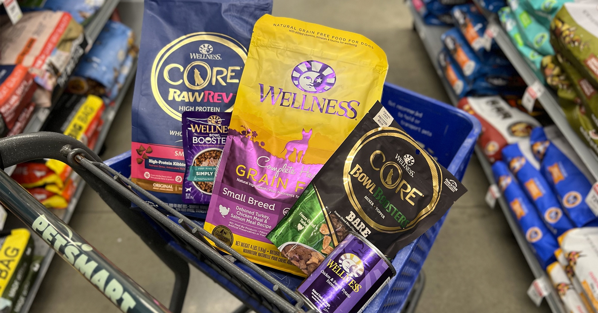 Petsmart wellness store core cat food