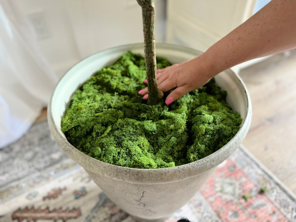 adding a sheet of moss to plant a faux tree
