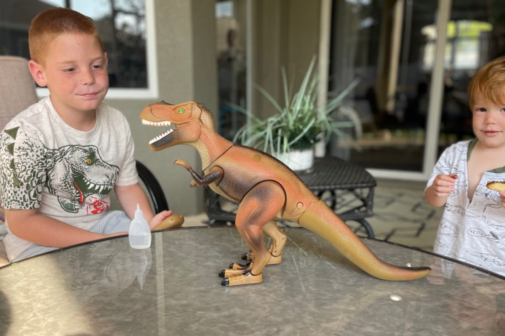 two boys playing with robot dinosaur toy