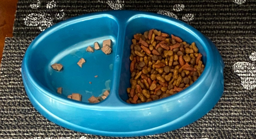 blue pet bowl with food in both sides