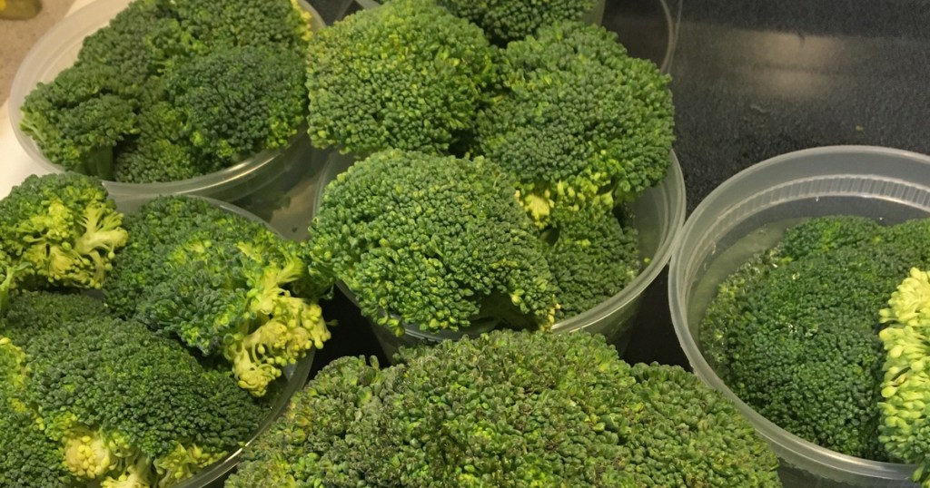 broccoli in tupperware
