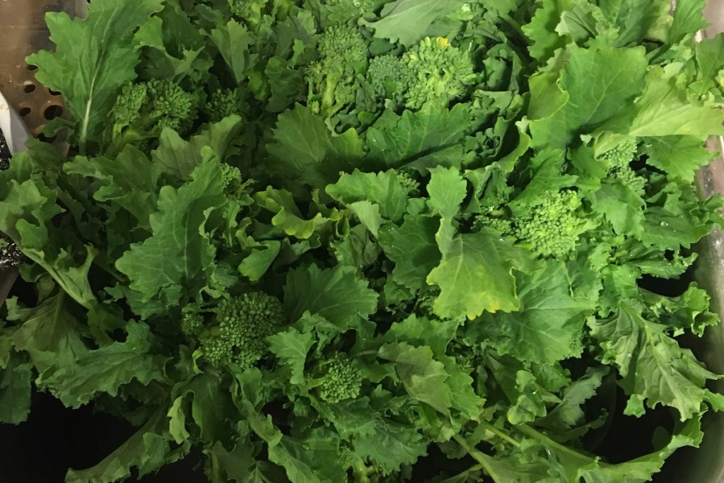 broccoli rabe in bunches