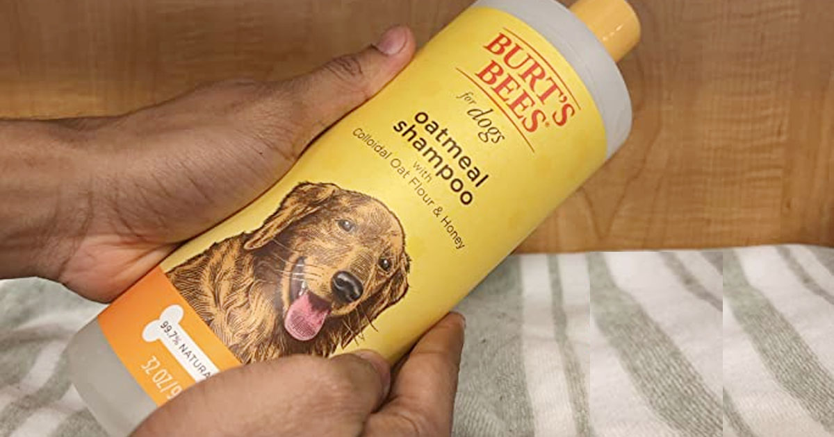 Burt’s Bees Oatmeal Dog Shampoo Just $4.90 Shipped on Amazon (Regularly $12)