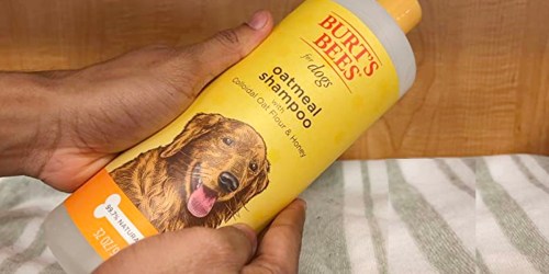 Burt’s Bees Oatmeal Dog Shampoo Just $4.90 Shipped on Amazon (Regularly $12)