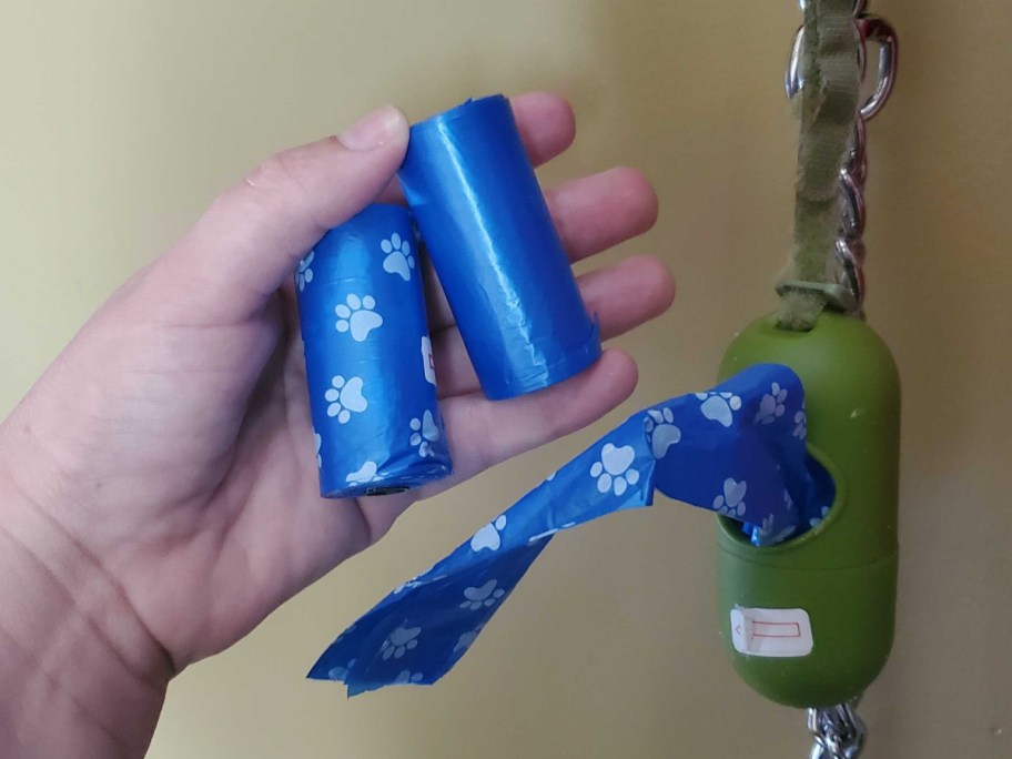 holding blue dog waste bag
