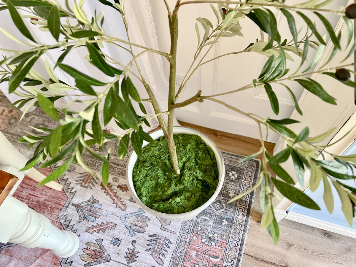 Use This Hack to Style Indoor Trees to Look Taller and Realistic!
