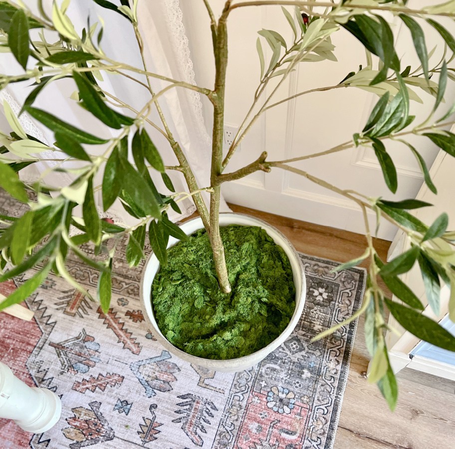 faux olive tree from home depot