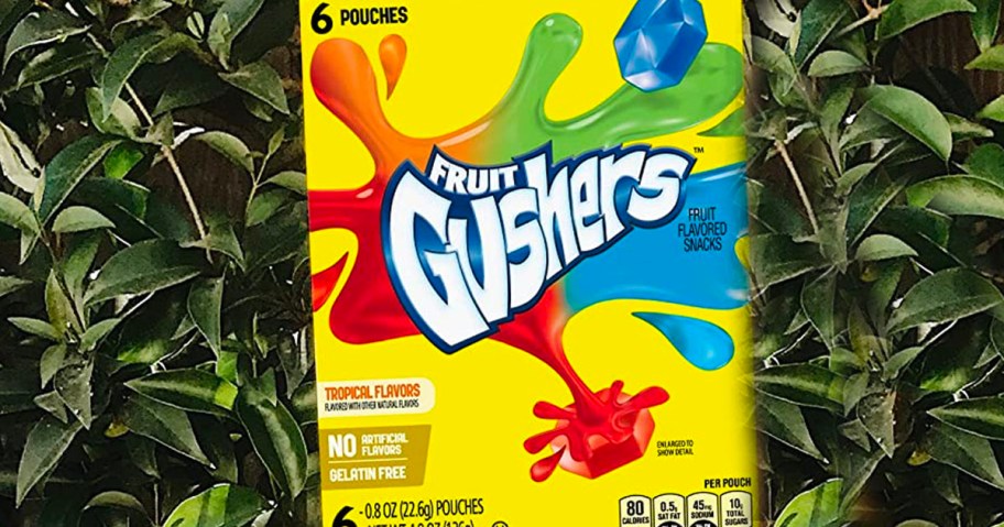 fruit gushers box in front of bushes