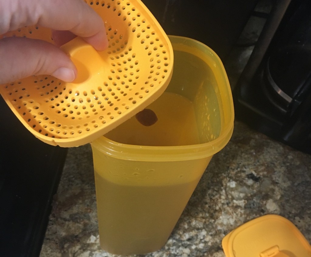 fruit water in water