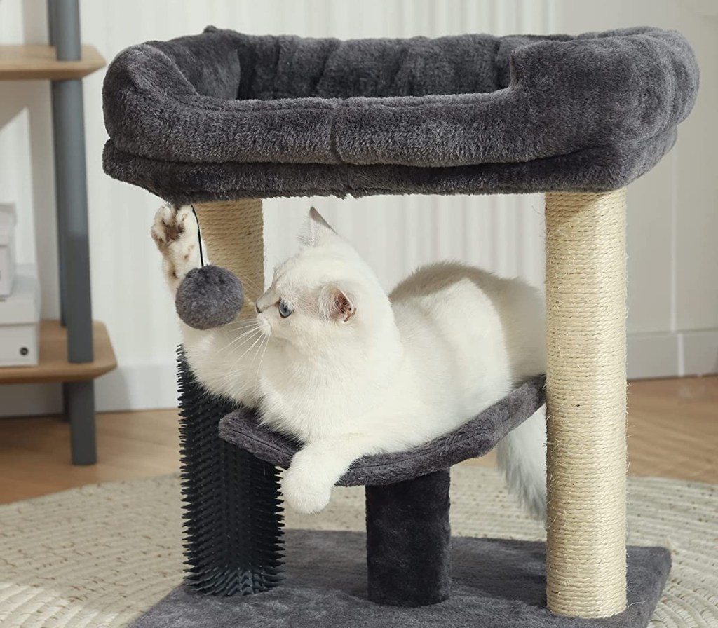 white cat on gray cat tree