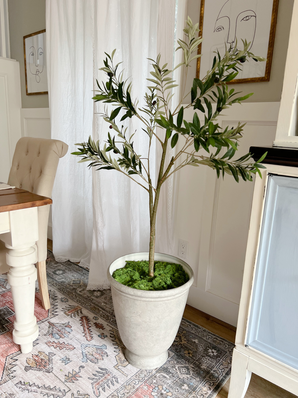 indoor plant and walmart tall planter in dining room
