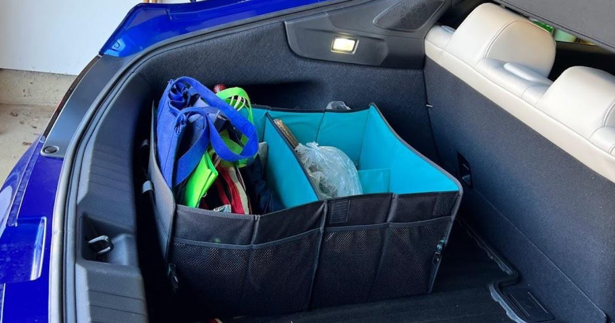 Insignia Collapsible Car Organizer Only $14.99 Shipped on BestBuy.com (Regularly $30)