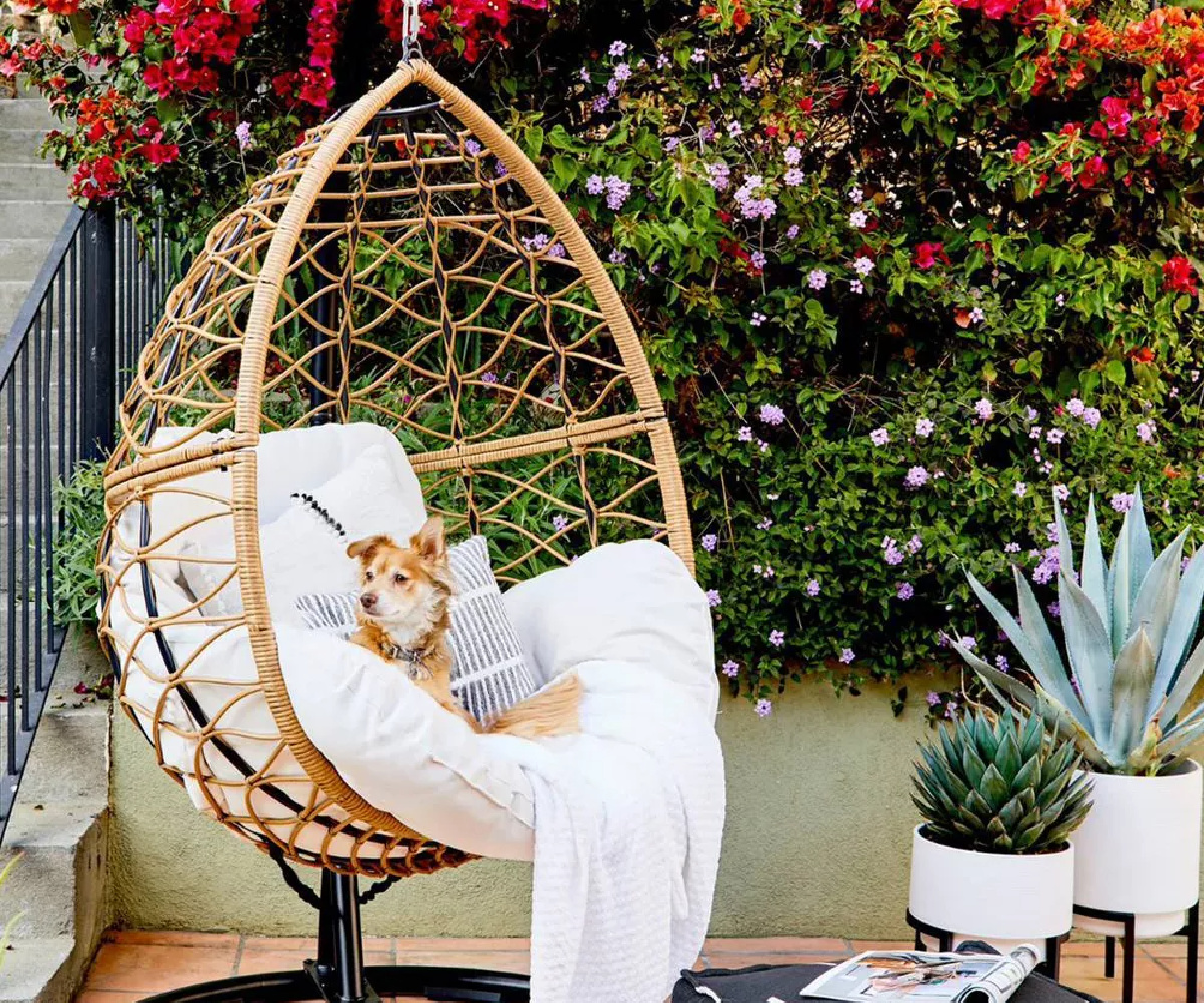 50% Off Egg Chairs w/ Cushions + Free Shipping on Target.com