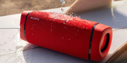 Sony Portable Speaker Only $79 Shipped on Walmart.com (Regularly $178) | Awesome Reviews