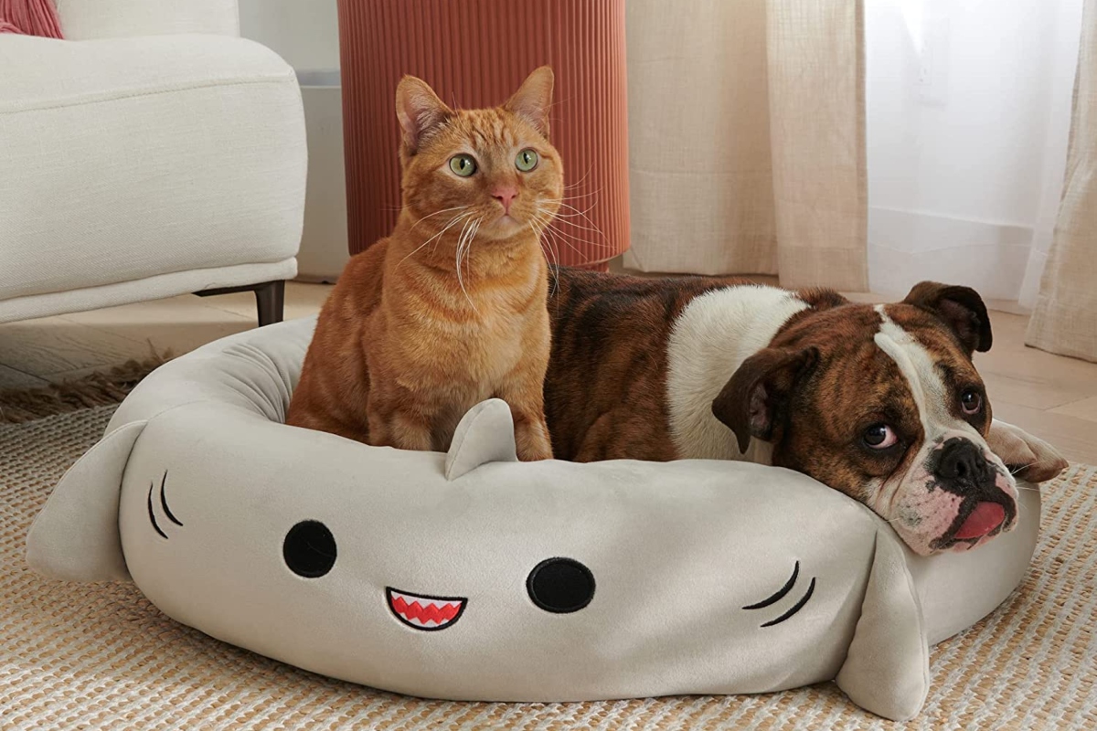 cat and dog on shark pet bed