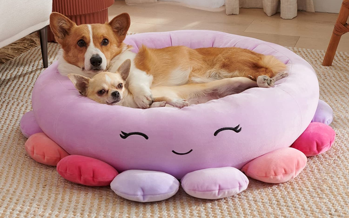 2 dogs resting on an Octopus Squishmallows pet bed