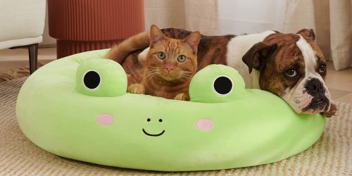 Squishmallow Pet Beds from Just $35 Shipped on Amazon