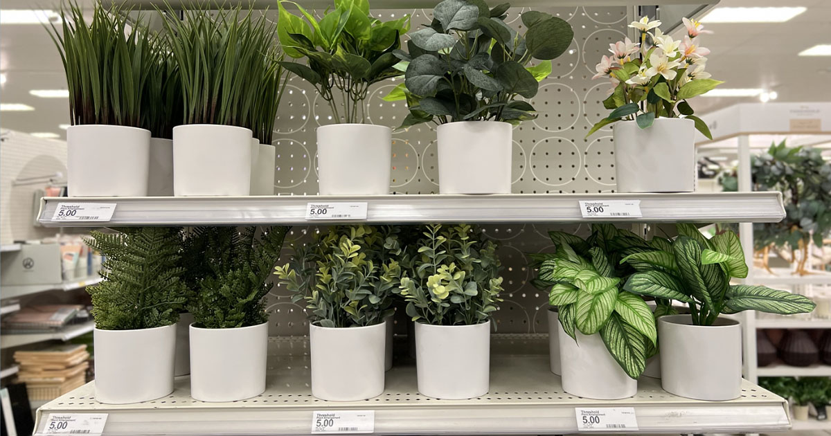 Target Artificial Plants ONLY $4 | Eucalyptus, Lavender, & More!